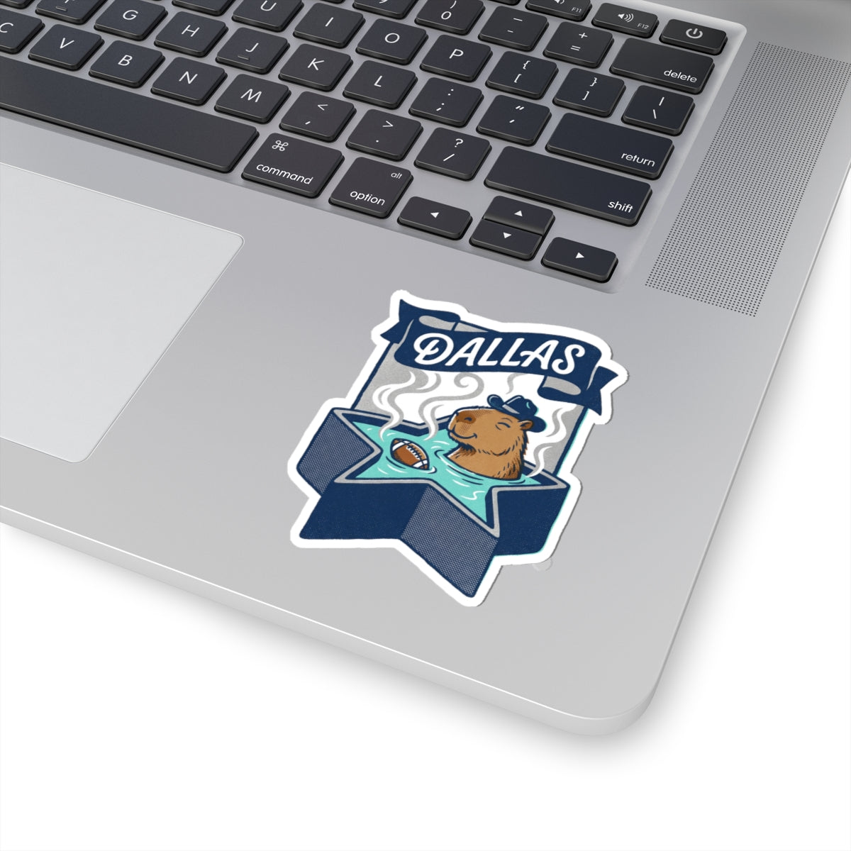Hot Tub Capybara Sticker, Cowboy Hat Cooler Decal for Dallas Football Fan, Star Shaped Spa Art, Chill Tailgate Tumbler Accent